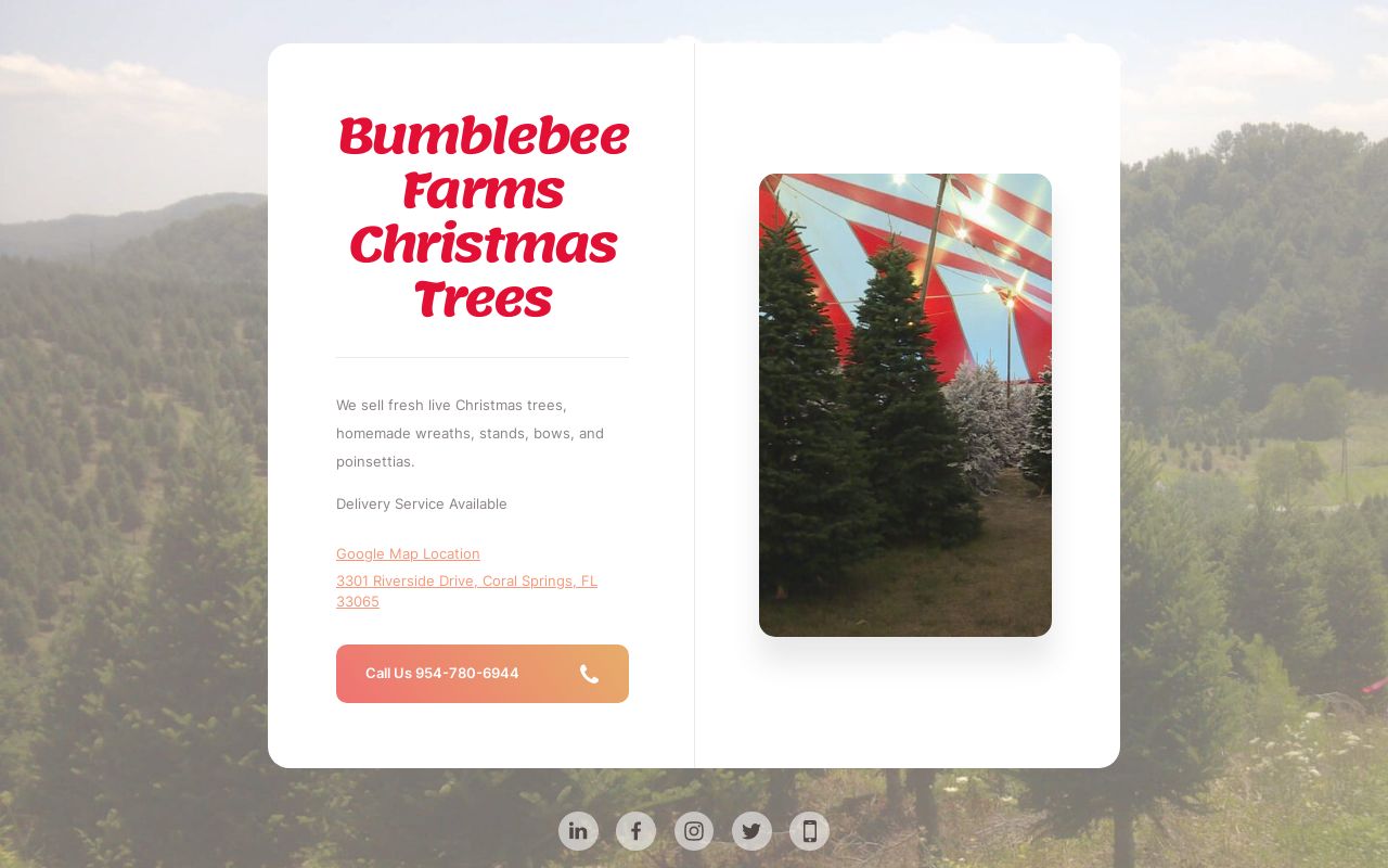 Bumblebee Farms Christmas Trees Coral Springs